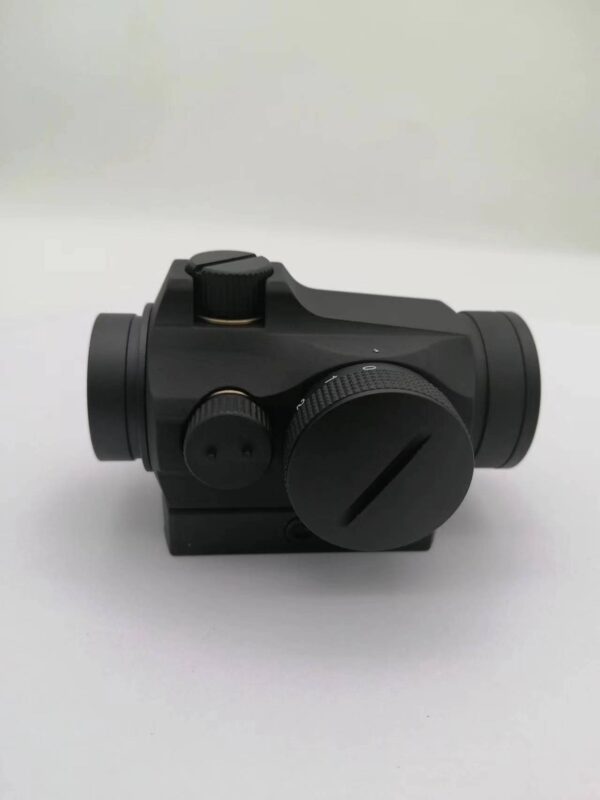 T2 - Image 2