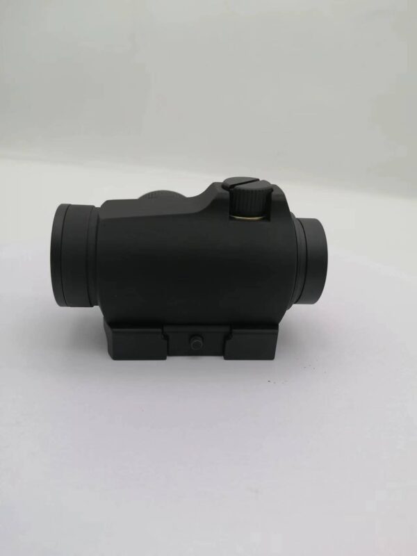 T2 - Image 3